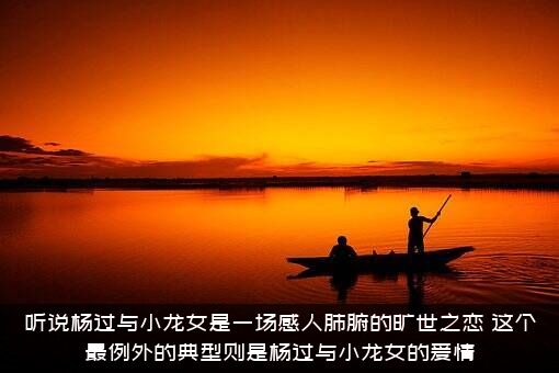 听说杨过与小龙女是一场感人肺腑的旷世之恋，这个最例外的典型则是杨过与小龙女的爱情