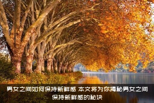 男女之间如何保持新鲜感？本文将为你揭秘男女之间保持新鲜感的秘诀