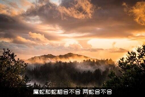 属蛇和蛇相合不合（两蛇合不合）