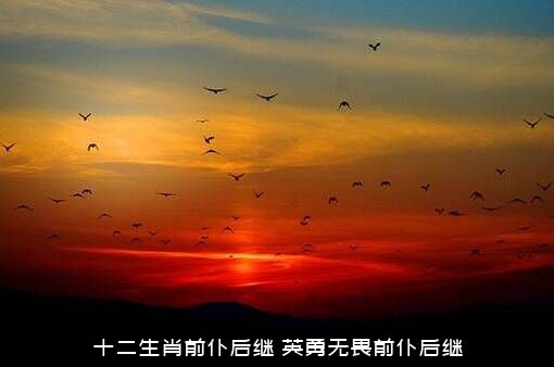 十二生肖前仆后继（英勇无畏前仆后继）