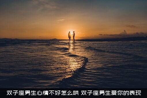 双子座男生心情不好怎么哄？双子座男生爱你的表现
