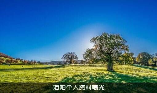 潘阳个人资料曝光