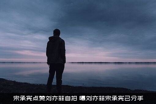 宋承宪点赞刘亦菲自拍（曝刘亦菲宋承宪已分手）
