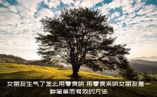 女朋友生气了怎么用零食哄？用零食来哄女朋友是一种简单而有效的方法