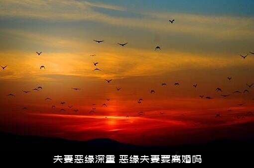 夫妻恶缘深重（恶缘夫妻要离婚吗）