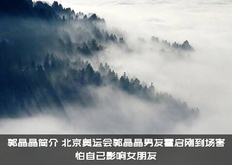 郭晶晶简介（北京奥运会郭晶晶男友霍启刚到场害怕自已影响女朋友）