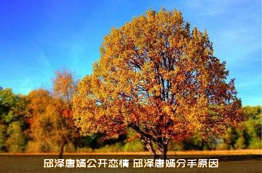 邱泽唐嫣公开恋情（邱泽唐嫣分手原因）