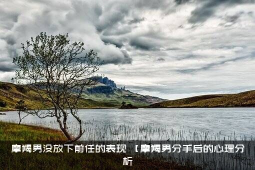 摩羯男没放下前任的表现（【摩羯男分手后的心理分析）