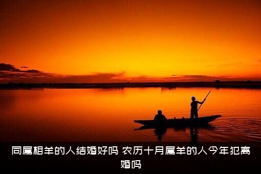 同属相羊的人结婚好吗？农历十月属羊的人今年犯离婚吗？