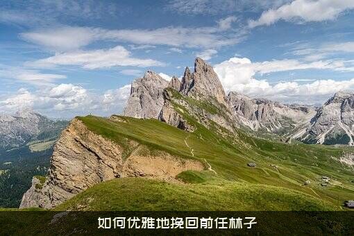 如何优雅地挽回前任林孑？