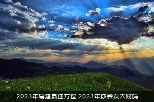 2023年属猪最佳方位，2023年你会发大财吗？