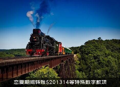 恋爱期间转账5201314等特殊数字款项