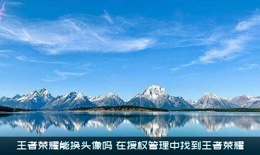 王者荣耀能换头像吗？在授权管理中找到王者荣耀