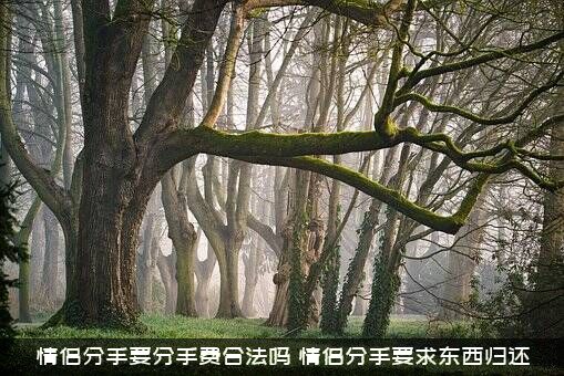 情侣分手要分手费合法吗？情侣分手要求东西归还