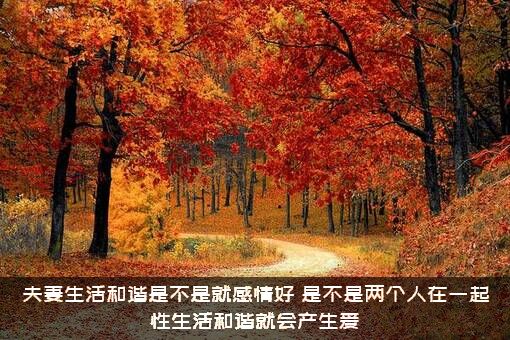 夫妻生活和谐是不是就感情好？是不是两个人在一起性生活和谐就会产生爱?？