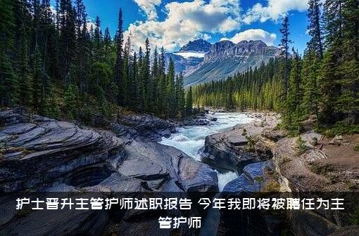 护士晋升主管护师述职报告，今年我即将被聘任为主管护师