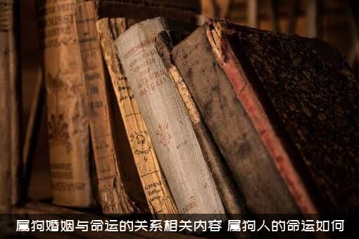 属狗婚姻与命运的关系相关内容，属狗人的命运如何?？
