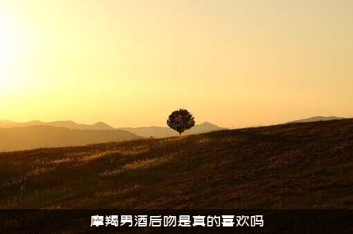 摩羯男酒后吻是真的喜欢吗？