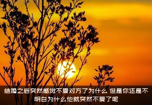 结婚之后突然感觉不爱对方了为什么？但是你还是不明白为什么他就突然不爱了呢？