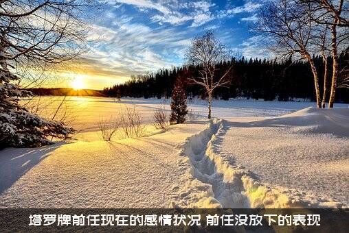 塔罗牌前任现在的感情状况，前任没放下的表现