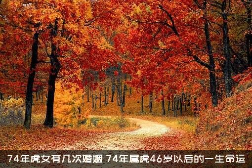 74年虎女有几次婚姻？74年属虎46岁以后的一生命运