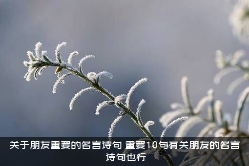 关于朋友重要的名言诗句（重要10句有关朋友的名言（诗句也行））