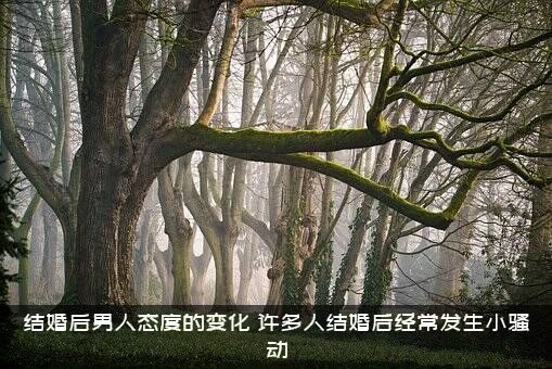 结婚后男人态度的变化（许多人结婚后经常发生小骚动）