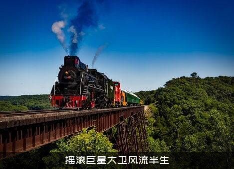 摇滚巨星大卫风流半生