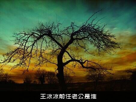 王冰冰前任老公是谁？