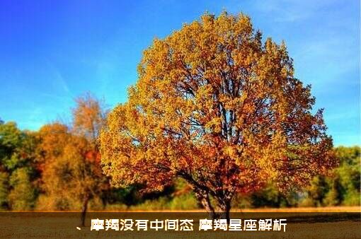 、摩羯没有中间态（摩羯星座解析）