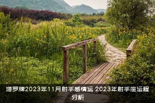 塔罗牌2023年11月射手感情运（2023年射手座运程分析）
