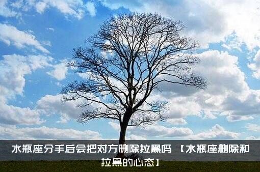 水瓶座分手后会把对方删除拉黑吗？【水瓶座删除和拉黑的心态】