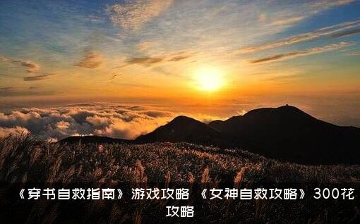 《穿书自救指南》游戏攻略（《女神自救攻略》300花攻略）