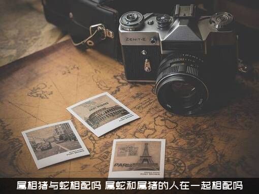 属相猪与蛇相配吗？属蛇和属猪的人在一起相配吗？
