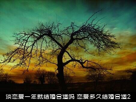 谈恋爱一年就结婚合适吗？恋爱多久结婚合适2？