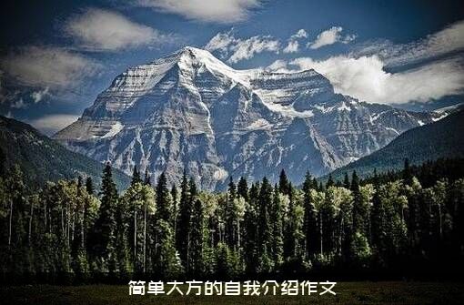 简单大方的自我介绍作文