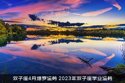 双子座4月塔罗运势（2023年双子座学业运势）