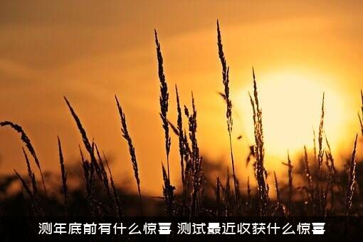测年底前有什么惊喜？测试最近收获什么惊喜？