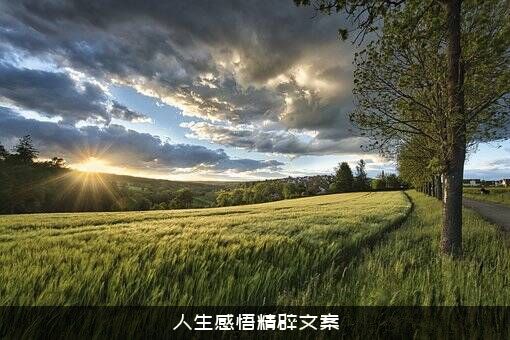 人生感悟精辟文案