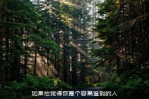 如果他觉得你是个容易追到的人