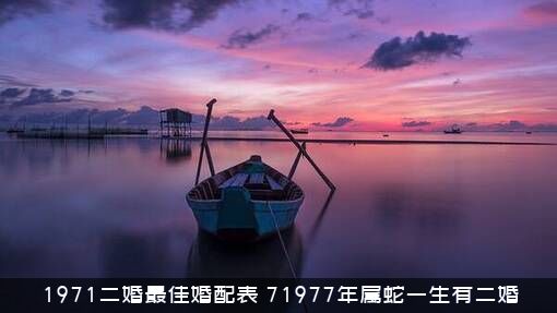 1971二婚最佳婚配表（71977年属蛇一生有二婚）