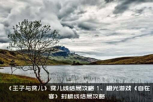 《王子与贫儿》贫儿线结局攻略，1、橙光游戏《自在客》封楼线结局攻略
