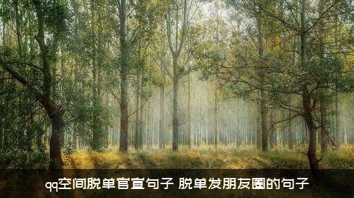 qq空间脱单官宣句子（脱单发朋友圈的句子）