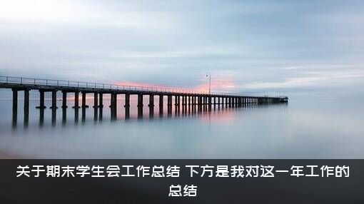 关于期末学生会工作总结（下方是我对这一年工作的总结）