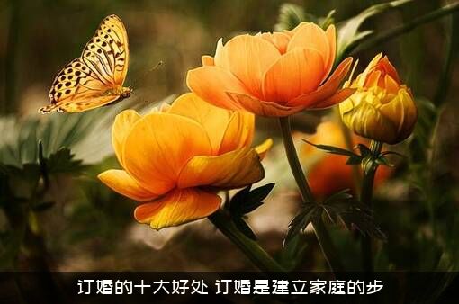 订婚的十大好处（订婚是建立家庭的步）