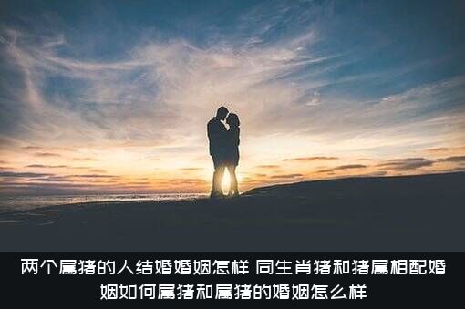 两个属猪的人结婚婚姻怎样？同生肖猪和猪属相配婚姻如何属猪和属猪的婚姻怎么样？