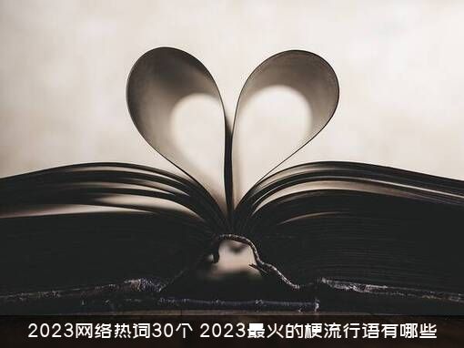 2023网络热词30个，2023最火的梗流行语有哪些？