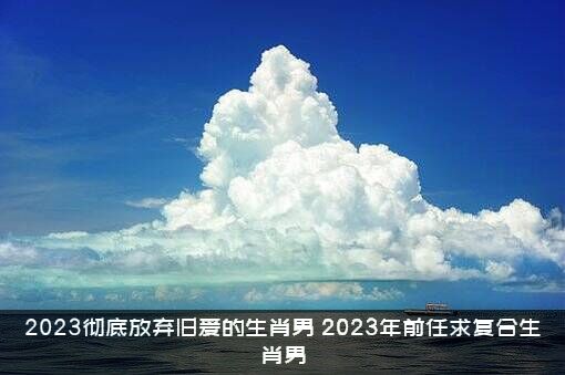 2023彻底放弃旧爱的生肖男（2023年前任求复合生肖男）