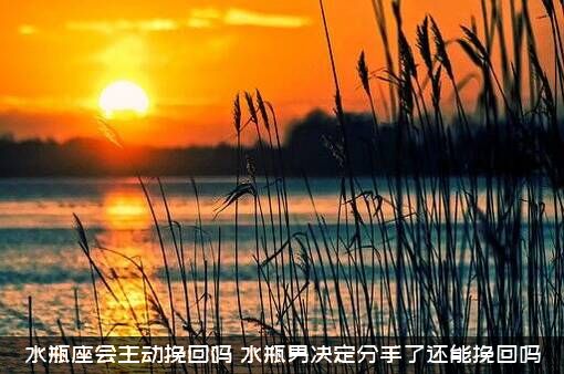 水瓶座会主动挽回吗？水瓶男决定分手了还能挽回吗？