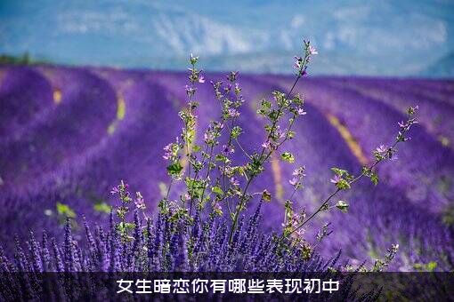 女生暗恋你有哪些表现初中？